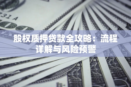 北京股权质押贷款全攻略：流程详解与风险预警