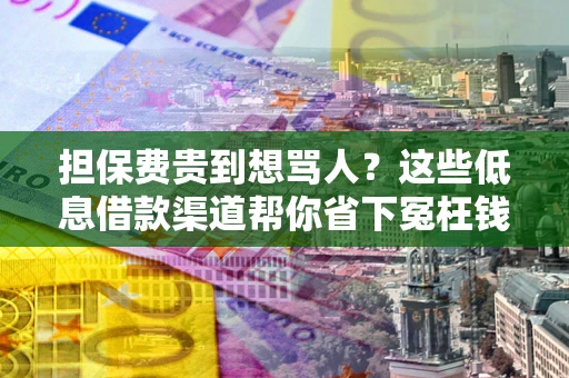 北京担保费贵到想骂人？这些低息借款渠道帮你省下冤枉钱