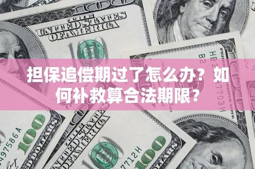 北京担保追偿期过了怎么办？如何补救算合法期限？
