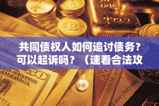 北京共同债权人如何追讨债务？可以起诉吗？（速看合法攻略）